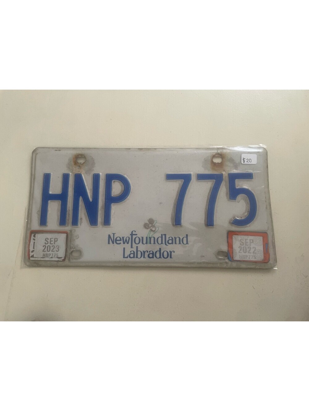 Newfoundland License Plate (Expired) Labrador Canada Picture 2023 HNP 775 2022
